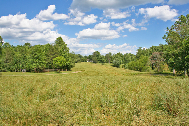 Pastureland for sale Dahlonega